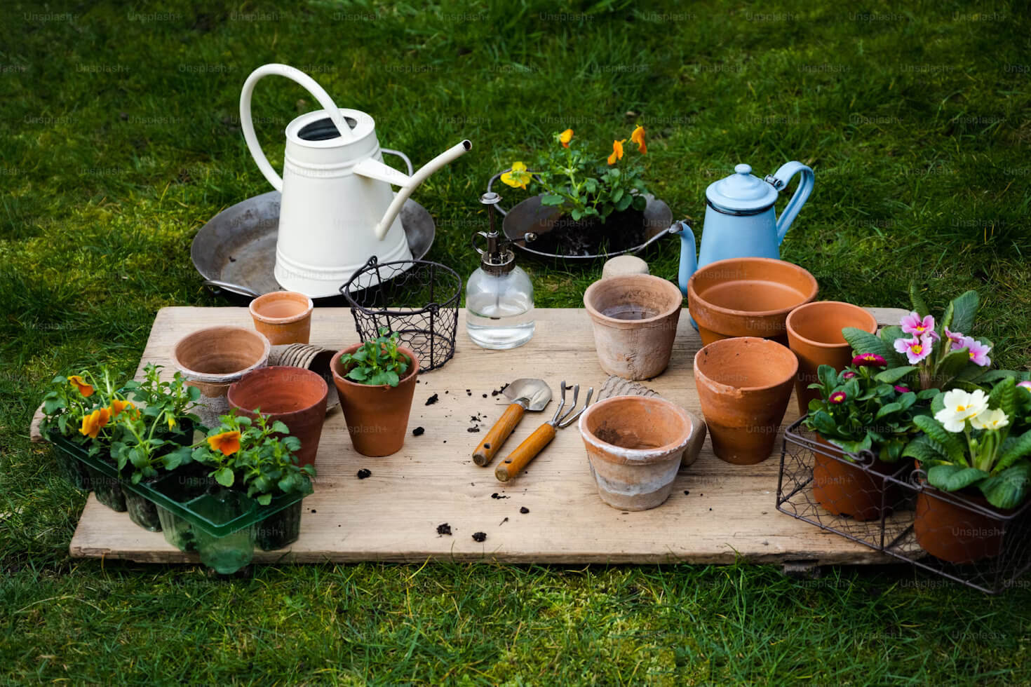 Gardening Essentials